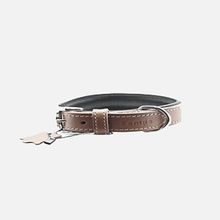 Zampa Classic 42 cm Kahverengi Köpek Boyun Tasması
