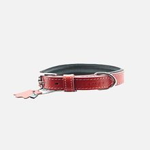 Zampa Classic 42 cm Kırmızı Köpek Boyun Tasması