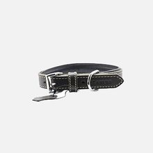 Zampa Classic 42 cm Siyah Köpek Boyun Tasması