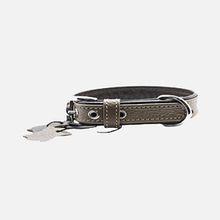 Zampa Flotter 47 cm Kahverengi Köpek Boyun Tasması
