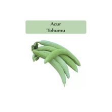 Zencefil Organik 10 gr 300 Adet Acur Tohumu