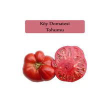 Zencefil Organik 3x850 Adet Domates Tohumu