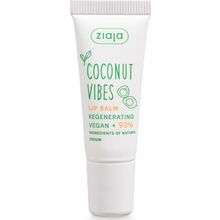Ziaja Coconut Vibes Yenileyici 10 ml Dudak Kremi