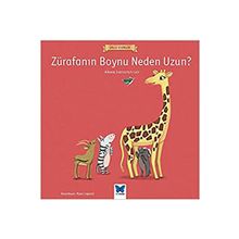 Zürafanın Boynu Neden Uzun? - Albena Ivanovitch Lair