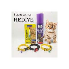 Kedi Pire Spreyi Fiyat Ve Modelleri