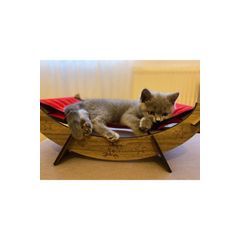 Kedi Kalorifer Yatagi Fiyat Ve Modelleri