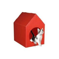Plastik Kedi Evi Fiyat Ve Modelleri
