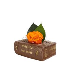 Rodin Solmayan Gul Ve Kitap Tasarim