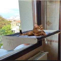 cama asilan kedi yatagi fiyatlari