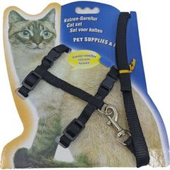 Kedi Gezdirme Tasmasi Fiyat Ve Modelleri