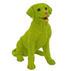Yeşil Köpek