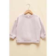 Lc Waikiki 0whv23z1 Lila Erkek Bebek Sweatshirt Fiyatlari