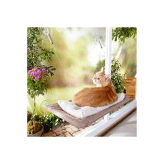 Cama Asilan Kedi Yatagi Fiyat Ve Modelleri