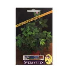 30 Mimosa Pudica Kustum Cicegi Tohumu Dokunma Bana Cicegi Tohum Fiyatlari Ve Ozellikleri
