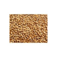 Tavuk Yemi 50 Kg Fiyatlari Tavuk Yemi 50 Kg Fiyatlari