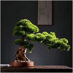 Bonsai Agaci Saksisi Fiyat Ve Modelleri