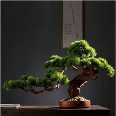 Bonsai Agaci Saksisi Fiyat Ve Modelleri