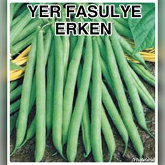 Bol Verimli Geleneksel Erkenci Balkiz Oturak Fasulye Tohumu 1 Kg Satin Al