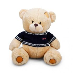 01008 42 cm Kazaklı Peluş Ayı