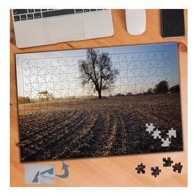 016 Tarladaki Büyük Ağaç Manzarası 240 Parça Puzzle Yapboz Tablo