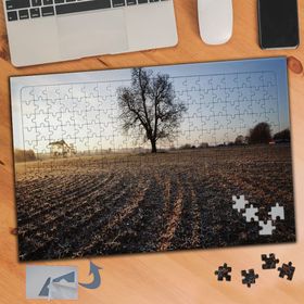 016 Tarladaki Büyük Ağaç Manzarası 240 Parça Puzzle Yapboz Tablo