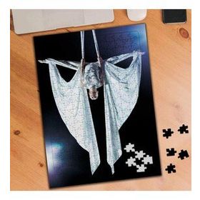 02339 Jimnastik Kız Spor Esneme 240 Parça Puzzle Yapboz