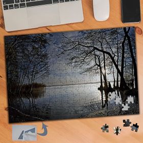024 Ters Işık Ağaç ve Göl Manzarası 240 Parça Puzzle Yapboz Tablo