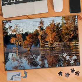 043 Sonbaharda Göl Kenarında Ağaç 240 Parça Puzzle Yapboz Tablo