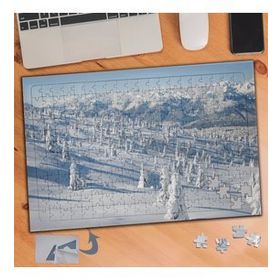 069 Beyaz Karlı Ağaç Doğa Manzarası 240 Parça Puzzle Yapboz Tablo