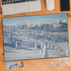 069 Beyaz Karlı Ağaç Doğa Manzarası 240 Parça Puzzle Yapboz Tablo