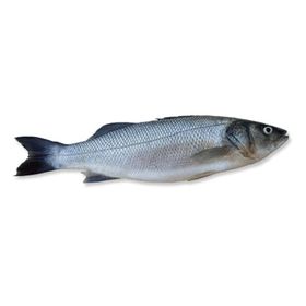 1 kg 300-400 Levrek