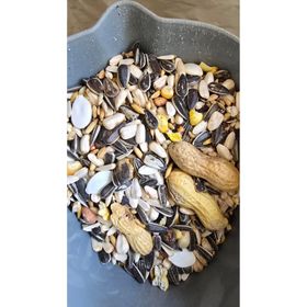 1 kg Ankara Yem Evi Parrot Jako Kakadu Amazon Papağanı Yemi
