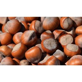 1 kg Jumbo Kabuklu Fındık