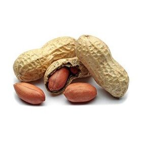 1 kg Kabuklu Tuzlu Yer Fıstığı