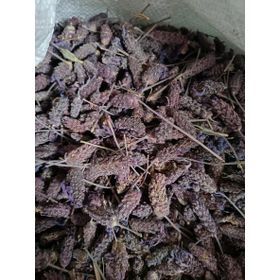 1 kg Karabaş Otu