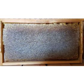 1 kg Kars Petek Balı