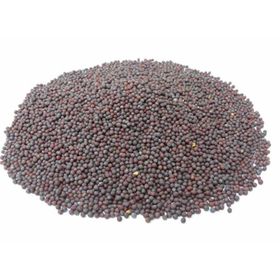 1 kg Siyah Hardal Tohumu Tozu