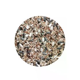 1 kg Sultan Cennet Sevda Forpus Papağanı Yemi