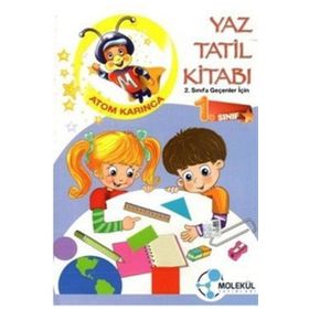 1. Sınıf Atom Karınca Yaz Tatil Kitabı Molekül Yayınları
