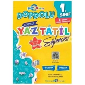 1. Sınıf Şifreli Yaz Tatili Eğlencesi Mavi Boncuk Akademi Yayınları
