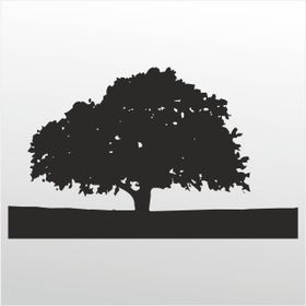 100 cm Ağaç Folyo Sticker