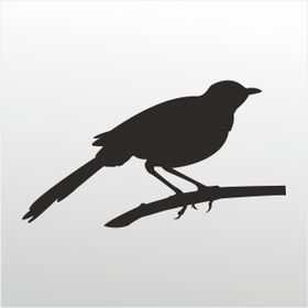 100 cm Arı Kuşu Folyo Sticker