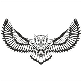 100 cm Baykuş Folyo Sticker