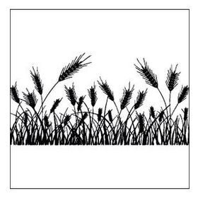 100 cm Buğday Başak Folyo Sticker