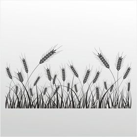 100 cm Buğday Folyo Sticker