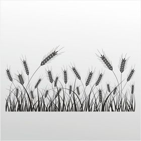 100 cm Buğday Folyo Sticker