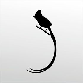 100 cm Hint Bülbülü Folyo Sticker