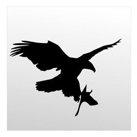 100 cm Kartal Folyo Sticker