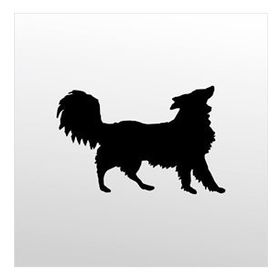 100 cm Köpek Folyo Sticker