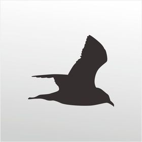 100 cm Martı Folyo Sticker